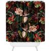 Society6 Shower Curtain – Bathroom Decor by Burcu Korkmazyurek – Extra Long Fabric Shower Curtains for Bathroom, 71″ x 74″, Floral and Birds III(Floral and Birds XII)