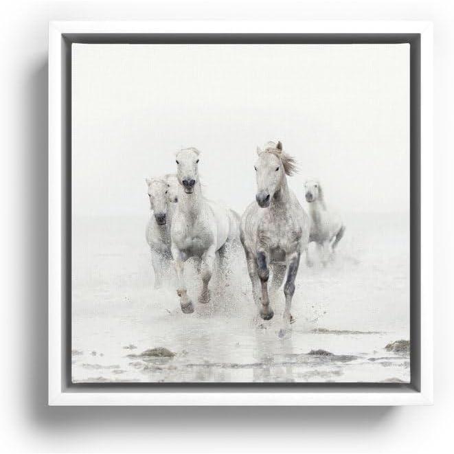 imageSociety6 Camargue White Horses Running In Water  Nature Photography Canvas Print  Modern Wall Art by Eye Poetry Photography  Framed Canvas GalleryQuality Canvas with FadeResistant Ink 20 X 20 BlackWhite