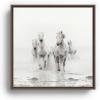 Society6 Camargue White Horses Running In Water – Nature Photography Canvas Print – Modern Wall Art by Eye Poetry Photography – Framed Canvas, Gallery-Quality Canvas with Fade-Resistant Ink, 20 X 20, Black(Walnut)