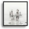 Society6 Camargue White Horses Running In Water – Nature Photography Canvas Print – Modern Wall Art by Eye Poetry Photography – Framed Canvas, Gallery-Quality Canvas with Fade-Resistant Ink, 20 X 20, Black(Black)
