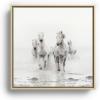 Society6 Camargue White Horses Running In Water – Nature Photography Canvas Print – Modern Wall Art by Eye Poetry Photography – Framed Canvas, Gallery-Quality Canvas with Fade-Resistant Ink, 20 X 20, Black(Maple)