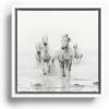 Society6 Camargue White Horses Running In Water – Nature Photography Canvas Print – Modern Wall Art by Eye Poetry Photography – Framed Canvas, Gallery-Quality Canvas with Fade-Resistant Ink, 20 X 20, Black(White)