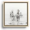 Society6 Camargue White Horses Running In Water – Nature Photography Canvas Print – Modern Wall Art by Eye Poetry Photography – Framed Canvas, Gallery-Quality Canvas with Fade-Resistant Ink, 20 X 20, Black(Maple)