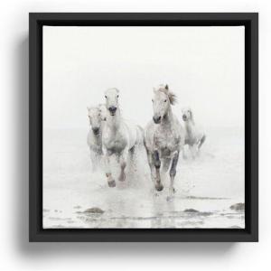 Society6 Camargue White Horses Running In Water – Nature Photography Canvas Print – Modern Wall Art by Eye Poetry Photography – Framed Canvas, Gallery-Quality Canvas with Fade-Resistant Ink, 20 X 20, Black(Black)