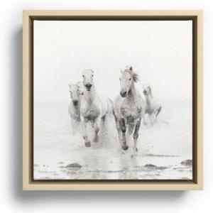 Society6 Camargue White Horses Running In Water – Nature Photography Canvas Print – Modern Wall Art by Eye Poetry Photography – Framed Canvas, Gallery-Quality Canvas with Fade-Resistant Ink, 20 X 20, Black(Maple)