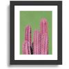 Society6 Pink Cactus On Green by Jeff Mindell Photography-Framed Art Print (Modern Black – X-Small 8″ x 10″-10×12)(Modern Black)