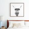 Society6 Wild Longhorn Cow Print – Black White Cow Portrait – Animal – Travel Photograpy Canvas Print – Modern Wall Art by Ingrid Beddoes Photography – Framed Canvas, Gallery-Quality Canvas with Fade-Resistant Ink, 30 X 30, Walnut