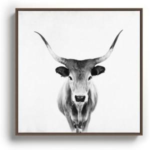 Society6 Wild Longhorn Cow Print – Black White Cow Portrait – Animal – Travel Photograpy Canvas Print – Modern Wall Art by Ingrid Beddoes Photography – Framed Canvas, Gallery-Quality Canvas with Fade-Resistant Ink, 30 X 30, Walnut
