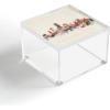 Society6 Bri Buckley New York City Skyline Acrylic Box, 4″ x 4″(Dallas Texas Skyline)