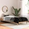Society6 2021 Cotton Comforter, King, Anita’s & Bella’s Artwork Gold Palm Leaves Dream 1(Elisabeth Fredriksson Charcoal Hexagons)