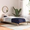 Society6 2021 Cotton Comforter, King, Anita’s & Bella’s Artwork Gold Palm Leaves Dream 1(Emanuela Carratoni Pastel Shapes)