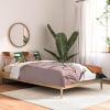 Society6 2021 Cotton Comforter, King, Anita’s & Bella’s Artwork Gold Palm Leaves Dream 1(Gale Switzer Simpatico V2)