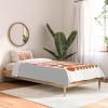 Society6 2021 Cotton Comforter, King, Anita’s & Bella’s Artwork Gold Palm Leaves Dream 1(June Journal Blush and Terracotta Circles)