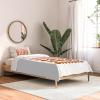 Society6 2021 Cotton Comforter, King, Anita’s & Bella’s Artwork Gold Palm Leaves Dream 1(June Journal Blush and Terracotta Circles)