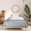 Society6 2021 Cotton Comforter, King, Anita’s & Bella’s Artwork Gold Palm Leaves Dream 1(Rachel Elise Atlantic Ocean Sunrise Ii)