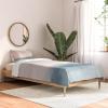 Society6 2021 Cotton Comforter, King, Anita’s & Bella’s Artwork Gold Palm Leaves Dream 1(Rachel Elise Atlantic Ocean Sunrise Ii)