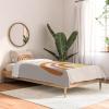 Society6 2021 Cotton Comforter, King, Anita’s & Bella’s Artwork Gold Palm Leaves Dream 1(Urban Wild Studio Paint Rainbow)