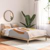Society6 2021 Cotton Comforter, King, Anita’s & Bella’s Artwork Gold Palm Leaves Dream 1(Urban Wild Studio Paint Rainbow)