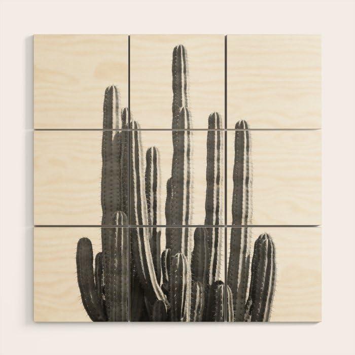 imageSociety6 Black And White Cactus by Summer Sun DesignsWood Wall Art 5 x 5Wood