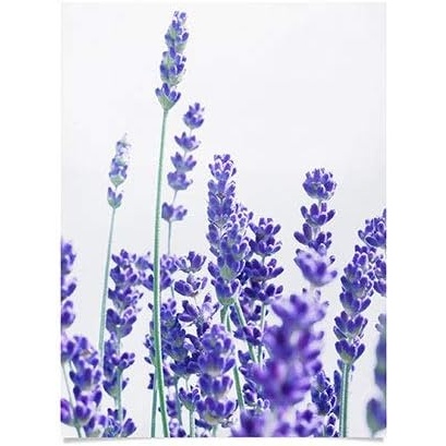 imageSociety6 Anita Bella Jantz Palm Leaves Green Vibes 4 Poster 18x24Fresh Lavender 1