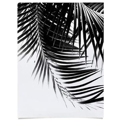 imageSociety6 Anita Bella Jantz Palm Leaves Green Vibes 4 Poster 18x24Palm Leaves Bw Vibes 1