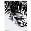 Society6 Anita Bella Jantz Palm Leaves Green Vibes 4 Poster, 18″x24″(Palm Leaves Bw Vibes 1)