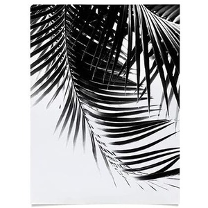 Society6 Anita Bella Jantz Palm Leaves Green Vibes 4 Poster, 18″x24″(Palm Leaves Bw Vibes 1)
