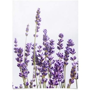 Society6 Anita Bella Jantz Palm Leaves Green Vibes 4 Poster, 18″x24″(Purple Lavender 1)